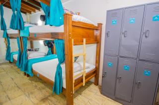 Spring Hostel - Medellín - 1