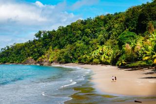 Corcovado Wilderness Lodge by SCP - San Pedrillo - 0