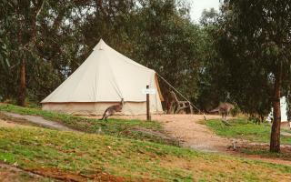 Mansfield Glamping - ADULTS ONLY - Mansfield - 4