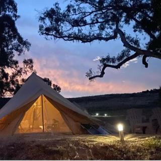 Mansfield Glamping - ADULTS ONLY - Mansfield - 3