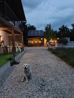 Cabana Oprișor - Ocna Sibiului - 2