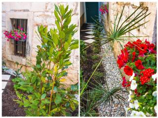 Apartments Veig Palace - Spalato (Split) - 2