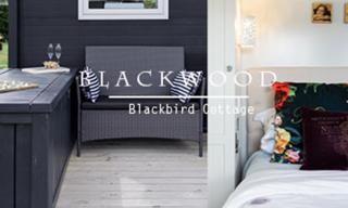 Blackbird Cottage - Lincoln - 0
