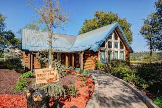 The Happy Bear Lodge - 2