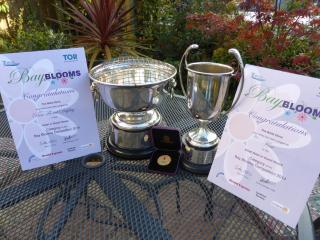 Belle Dene Guest House - Paignton - 3