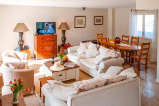Domaine de la Durantie - Villas avec Spa de nage - Castelnau-de-Montmiral - 1