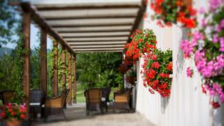 Agriturismo La Pesca - 4