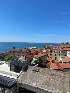 Rotonda Inn Novigrad - Novigrad - 1