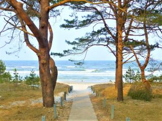 Dünenpark 093 - Binz - 5