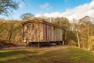 Bertha Shepherd's Hut - Lydney - 0