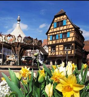 L'Appar'T - Centre historique de Obernai - Obernai - 7