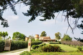 Masseria La Guardata - 4