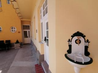 Albizia-Apartments - Baden - 6
