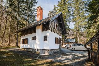 Holiday Home Kozorog - 9