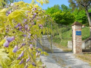 Tenuta Calabiana - Diano dʼAlba - 1