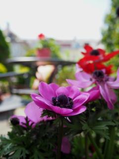 Das Altschwabing - Munich Boutique Hotel - Munich - 7