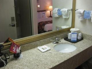 Red Roof Inn Flint - 7