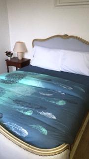 Gîte La vie au vert Spacieux et autonome - 3