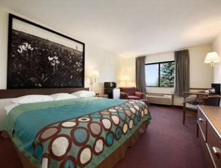 Super 8 by Wyndham Danville - Danville - 3