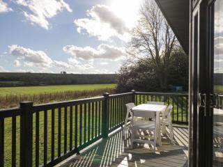 Manor Farm Lodge - 9