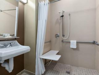 Microtel Inn & Suites by Wyndham Wheeler Ridge - 3