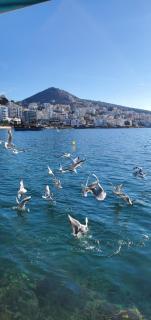 SarandaView Hotel - Saranda - 7
