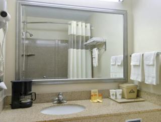 Econo Lodge Mt Hope - Beckley - 6