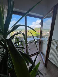 Ferienwohnung See-Ländle 1 - - 0