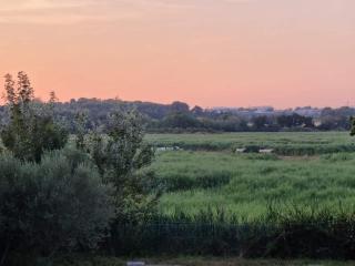 Gîtes de l'Estagnol - Villeneuve-lès-Maguelonne - 0