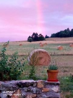 Bergerie Joy, bienvenue entre Ciel & Terre - Saint-Christol - 8