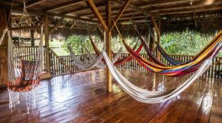 Caiman Lodge - Cuyabeno Nature Amazon Tour - Cuyabeno - 2