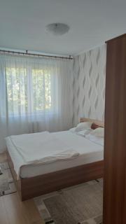 Apartament Victoria - Baile Felix - 6