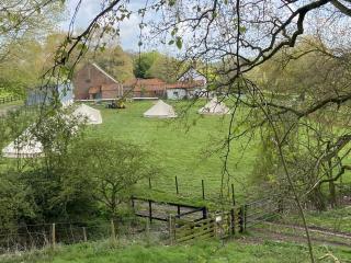 Willow glamping - 7