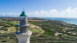 Upscale Studio City And Harbor Views Urban Oasis - Oranjestad - 6