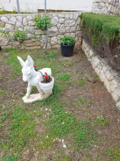 Apartment Dubravka - 1