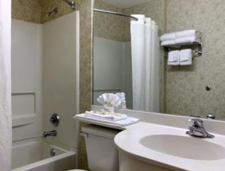 Microtel Inn & Suites by Wyndham Franklin - 4