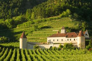 Schloss Goldrain - Coldrano - 0