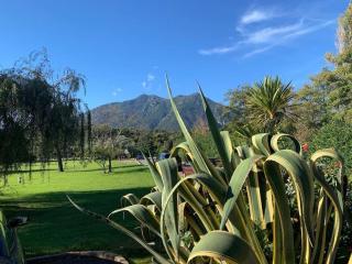 2025 - grand studio avec piscine et plage à 50 m - 6