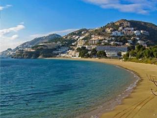 Golden Bay - Roses - 9
