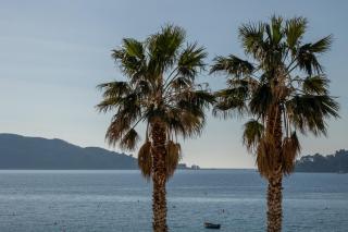 Mali Hotel Porat - Budva - 9
