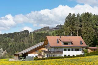Stiflerhof Apt Edelweiss - Pfalzen - 7