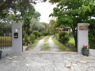 ANASTASIA - Nea Makri - 1