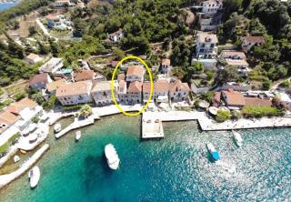 Rose - Apartmani Janovic - Luštica - 8