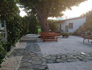 Apartments Xara - Velika - 1