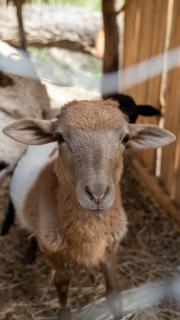 Cabañas Cascada del Barro - 6