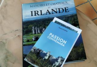 Maison de campagne au cœur d'un élevage de poneys connemara - Le Landreau - 8