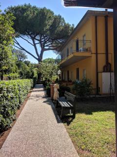 Residence Le Rose - Marina di Bibbona - 4