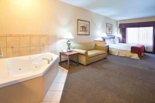 Holiday Inn Express Hotel & Suites Barstow by IHG - 7