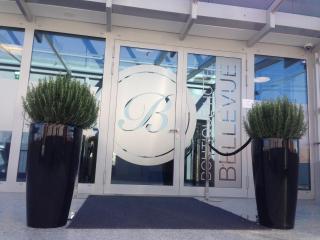 Boutique Hotel Bellevue Rheinfelden / Basel - Rheinfelden - 2