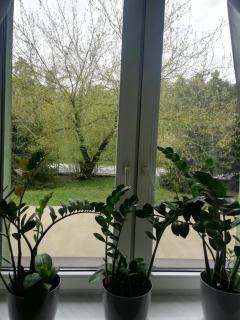 Apartament Zosia - Augustów - 5